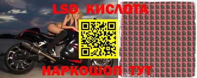 бошки Ярославль