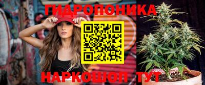 бошки Ярославль
